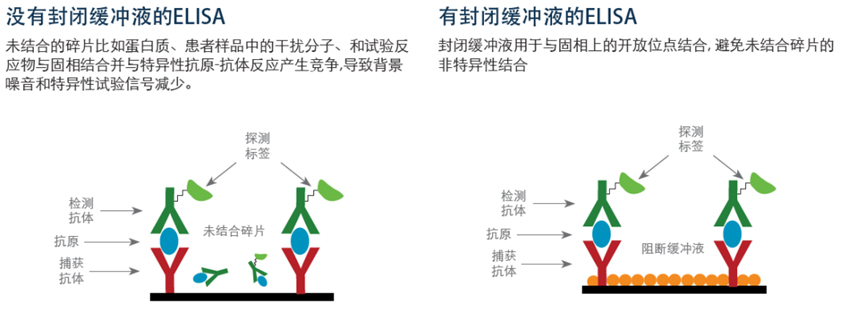 圖片2.jpg